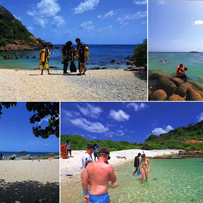 Pigeon & Coral Island